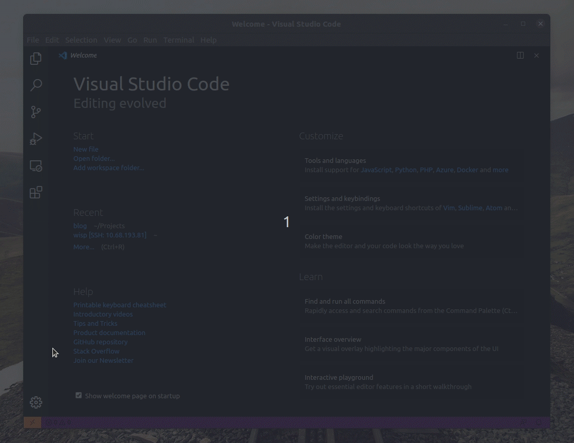 ../../../_images/vscode-remote.gif